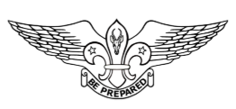 9th Pretoria Irene Air Scouts Logo